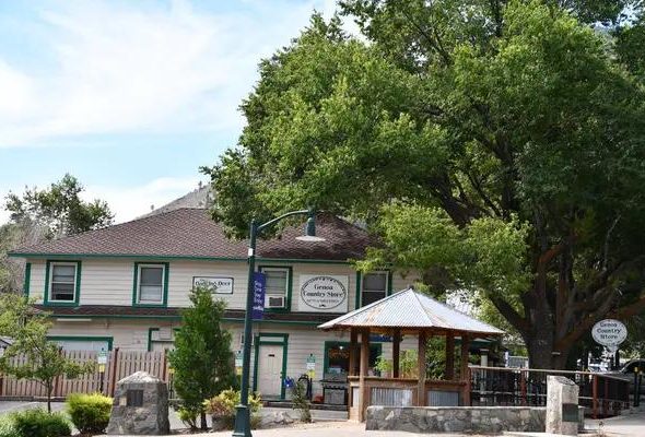 How Guest Stories Create the Bigger Picture in Westgate Resorts Reviews